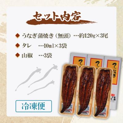 ふるさと納税 香南市 うなぎ蒲焼き120g 3尾セット(無頭) un-0015 |  | 01