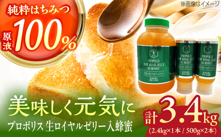 蜂蜜 コハマのハチミツ プロポリス 生ローヤルゼリー入蜂蜜 計3.4kg (2.4kg×1本 / 500g×2本)   BCAQ010