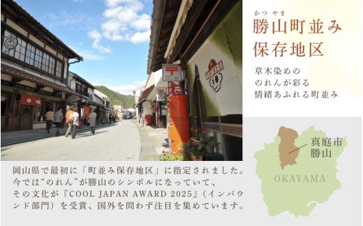 勝山 綿ハンカチ 絞り染め体験 ２名様分 / 真庭 勝山 草木染 染物 体験 チケット 草木染め 自然 自然素材 【hnkk003-01】