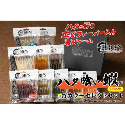 ふるさと納税 飯塚市 RUDIE‘Sのハタ喰い・蝦 2.5inch 5カラーセレクトセット(5袋) 釣り具 ルアー