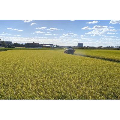 ふるさと納税 つがる市 令和7年産 つがる市産 はれわたり 白米 5kg [0932] |  | 01