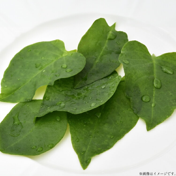 【ふるさと納税】ゲンキナ 150g 9p [tk06ays760009 山形県 高畠町 よねおりかんこうセンター] 野菜 やさい 腸活 オカワカメ