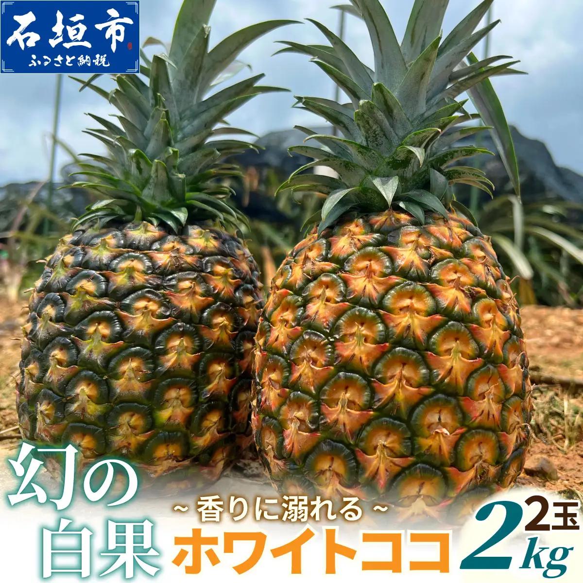《2027年5月下旬以降順次発送》香りに溺れる。幻の白果 ホワイトココ 2玉（約2kg）
