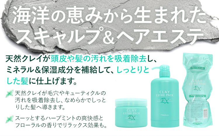 トリートメント クレイエステ パック EX 500g《30日以内に出荷予定(土日祝除く)》茨城県 結城市 化粧品 ヘアケア トリートメント ミント スカルプ ヘアエステ クレイ 詰め替え用 ケア用品 