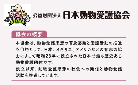 日本動物愛護協会殺処分低減活動への寄附【犬猫殺処分ゼロ】（返礼品なし）【MRI-AiD】【寄付額：5万円】【pr-0902-7】