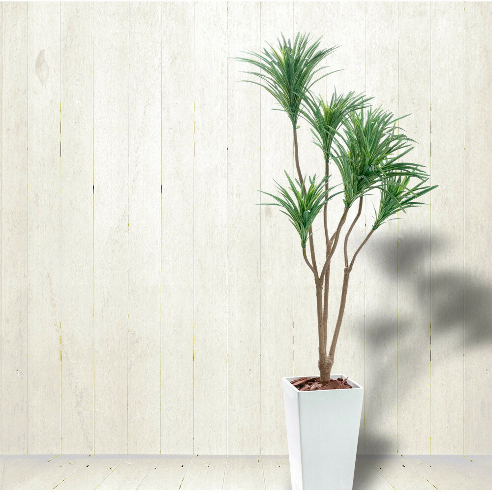 【ふるさと納税】人工観葉植物　青年の樹ユッカ7本枝　白樹脂鉢Lサイズ付