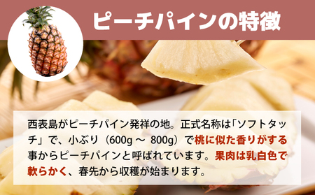 【2024年5月～7月（全3回発送）】南国の美味しさを！パイナップル 定期便 B