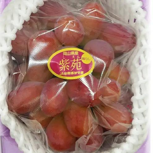 ぶどう 2026年 先行予約 紫苑 1房(700g以上) 化粧箱入り 岡山県産 ぶどう