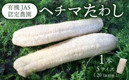 ヘチマたわし Sサイズ | 日用品 ヘチマ へちま たわし スポンジ 有機JAS認定農園 高知県 南国市