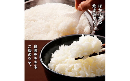 令和6年産 田野米  20kg（5kg×4袋）～精米・白米～