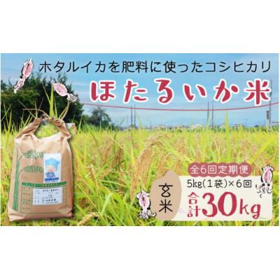ふるさと納税 滑川市 【毎月定期便】ほたるいか米　玄米　5kg全6回