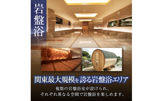 スパジアムジャポン　全日入浴無料券・岩盤浴無料券30枚セット【1665671】