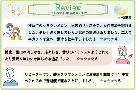 【毎月定期便】クラウンメロン(白等級) 2玉 全6回 6209