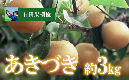 
            No.2740梨　あきづき　3kg【2025年発送　先行予約】
          