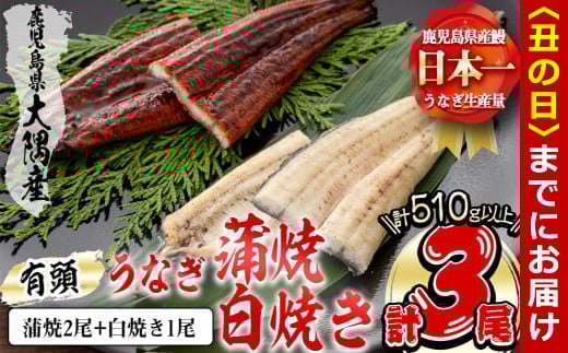 【丑の日までに配送】楠田の極うなぎ 蒲焼き2尾・白焼き1尾170g以上×3尾(510g以上) b2-011-us