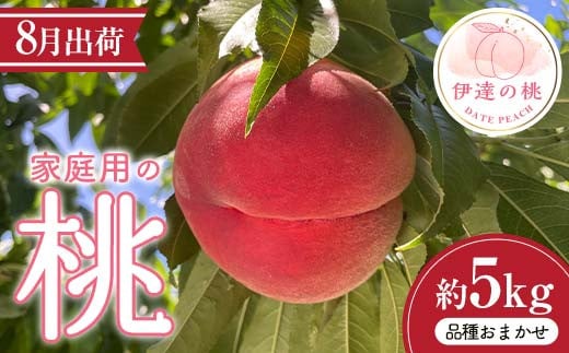 伊達市産 家庭用の桃 約5kg 品種おまかせ（8月出荷分） 桃 もも モモ 果物 くだもの フルーツ 国産 食品 F21C-084