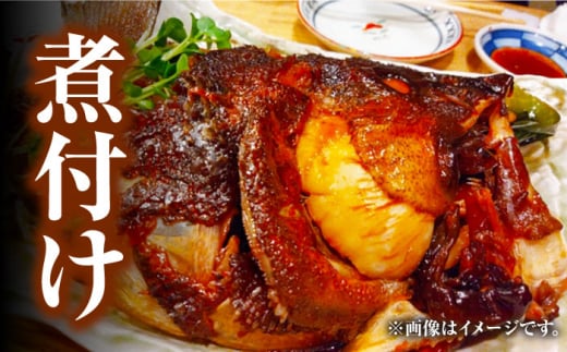 【 対馬産 】 天然 クエ 1kg（500g×2）（身のみ）《対馬市》【石川水産】 鍋 水炊き 鮮度抜群 海鮮 [WAB011]なべ くえ 鍋セット 海の幸 クエ 下処理 冷凍 新鮮 小分け 海産物 