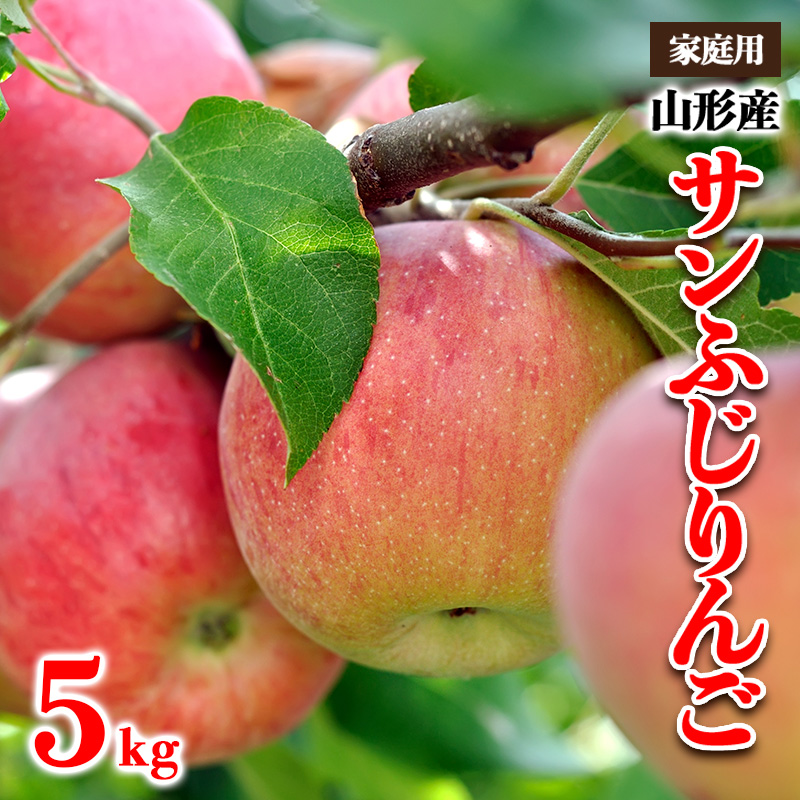 【家庭用】山形産 サンふじりんご 優品以上 5kg【令和8年産先行予約】FS25-798