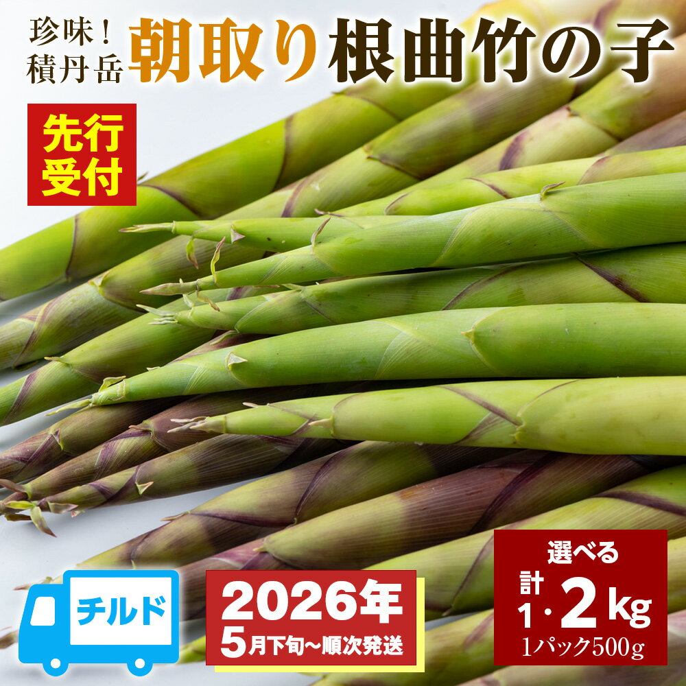 【ふるさと納税】「先行予約開始！」珍味積丹岳根曲竹の子選べる1kg～2kg 1パック500g北海道ふるさと納税 積丹町 ふるさと納税 北海道 山菜 根曲がり竹 北海道産 タケノコ 筍 竹の子