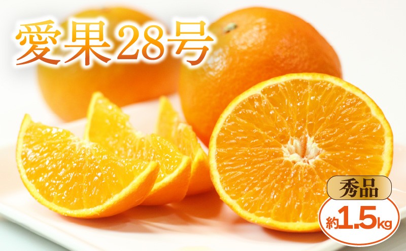 
                  【2026年11月中旬頃から発送予定】愛果28号 秀品 約1.5kg 贈答用 化粧箱入り  | 紅まどんな と同品種 あいか28号 みかん 蜜柑 mikan 檸檬 オレンジ 紅マドンナ と同品種 おれんじ かんきつ 愛媛県 松山市 ココオ Koko'o 
                