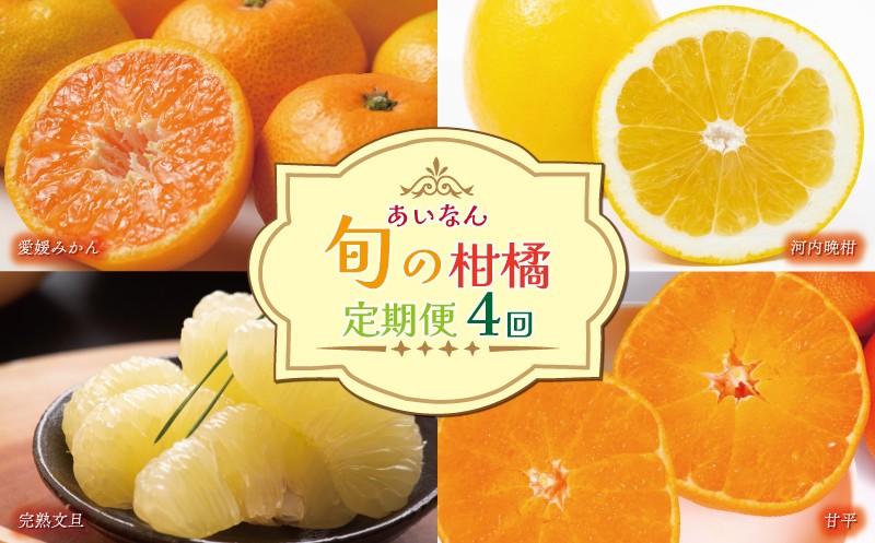 
                  【先行予約：限定20箱】【定期便 全4回】 あいなん 旬の 柑橘 定期便 (12月 愛媛みかん 約5kg / 2月 甘平 約5kg / 3月 完熟文旦 約4kg / 4月 河内晩柑 約5kg) 旬のフルーツ 果物 詰め合わせ 高級 こだわり農家 エニシトラス 先行予約 数量限定 愛媛県 愛南町
                