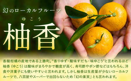 ＜ 予約受付開始 ＞ 訳あり 完熟柚香 ゆこう 約5kg シシトトラ《11月中旬-12月下旬頃出荷》 │ 柑橘 家庭用 柑橘 訳あり 柑橘 徳島県 柑橘 ご当地食材 レア 幻の果実 ぽん酢 加工用 柑