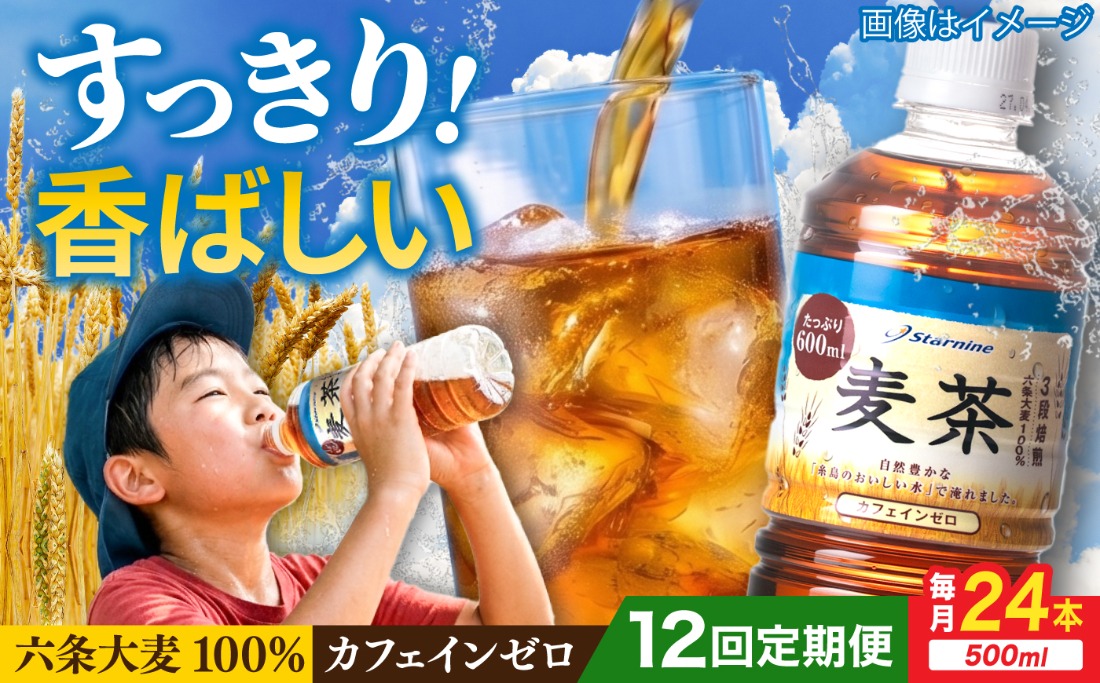 【全12回定期便】麦茶 600ml × 24本 糸島市 / スターナイン お茶 ペットボトル [ARM020] お茶 ペットボトル 500ml 24本 送料無料 麦茶 国産 常温