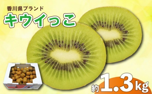 先行予約 キウイ 約1.3kg キウイフルーツ サイズ混合 さぬきキウイっこ 果物 果実 フルーツ 旬 デザート 選べる 容量 11月上旬～12月下旬 配送 家庭用 贈答用 ギフト プレゼント 香川県 丸亀市