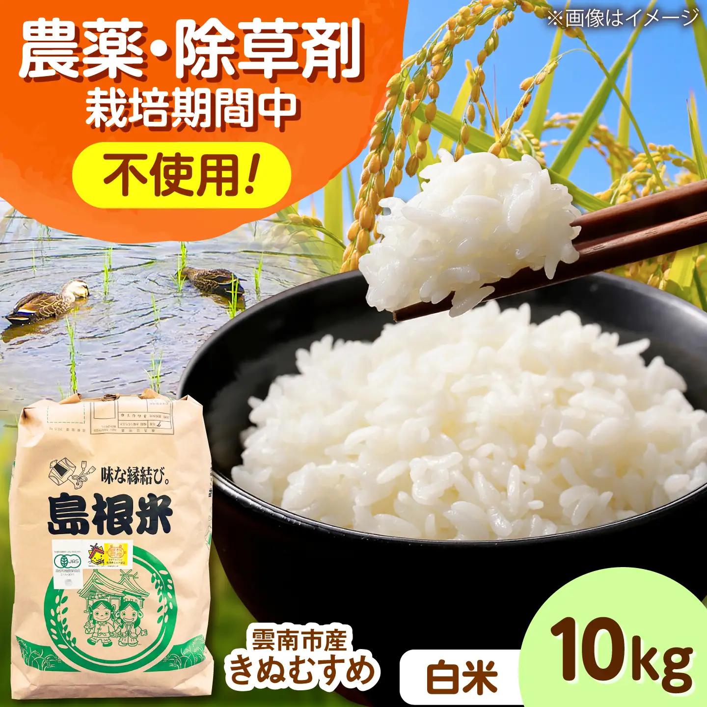 【有機JAS認証】有機栽培米きぬむすめ 10kg 令和7年産 精米 白米 島根県雲南市/佐藤ファーム[AIEO003]