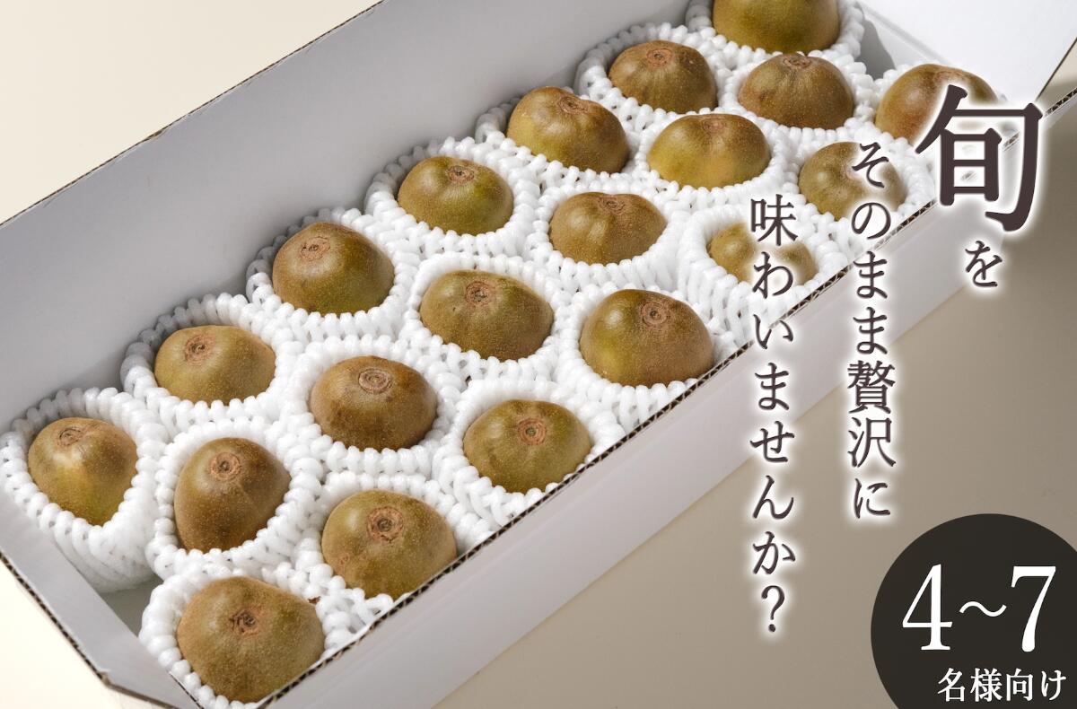 【ふるさと納税】 ＜先行予約2026年＞南アルプス市産 完熟レッドキウイ 1.6kg(21~24個入) ふるさと納税 おすすめ 完熟レッドキウイ キウイ 山梨県 南アルプス市 送料無料 ALPAL053