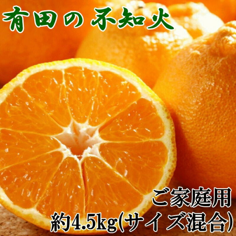 【ふるさと納税】【先行予約】【濃厚】有田の不知火約4.5kgご家庭用向け（サイズ混合）※2027年2月下旬～2027年3月下旬頃発送予定 / みかん 有田みかん 柑橘 不知火 和歌山 ミカン オレンジ【tec989】