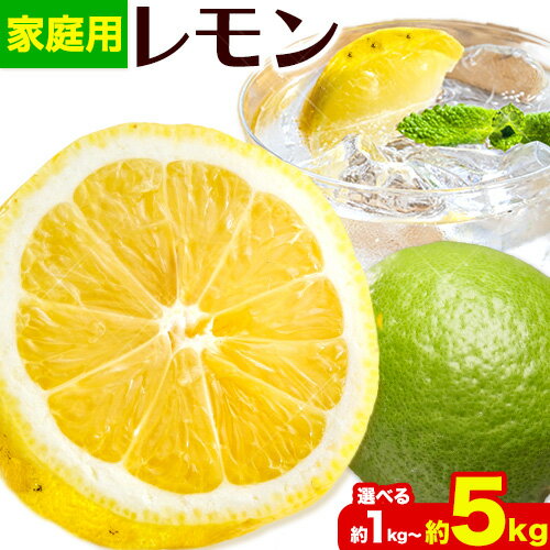 【ふるさと納税】家庭用 レモン 選べる 約 1kg 2.5kg 5kg 各＋250g (傷み補償分) 和歌山 有田産 防腐剤・WAX不使用 安心 国産 レモン 池田鹿蔵農園@日高町（池田農園株式会社）《9月上旬-4月下旬頃より発送予定》和歌山県 日高町【配送不可地域あり】