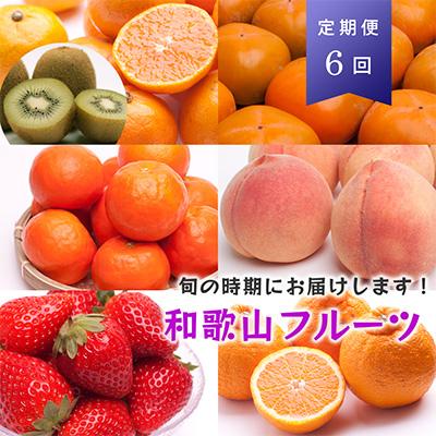 ふるさと納税 九度山町 【発送月固定定期便】フルーツ定期便B【フルーツ定期便】【和歌山県有田】全6回