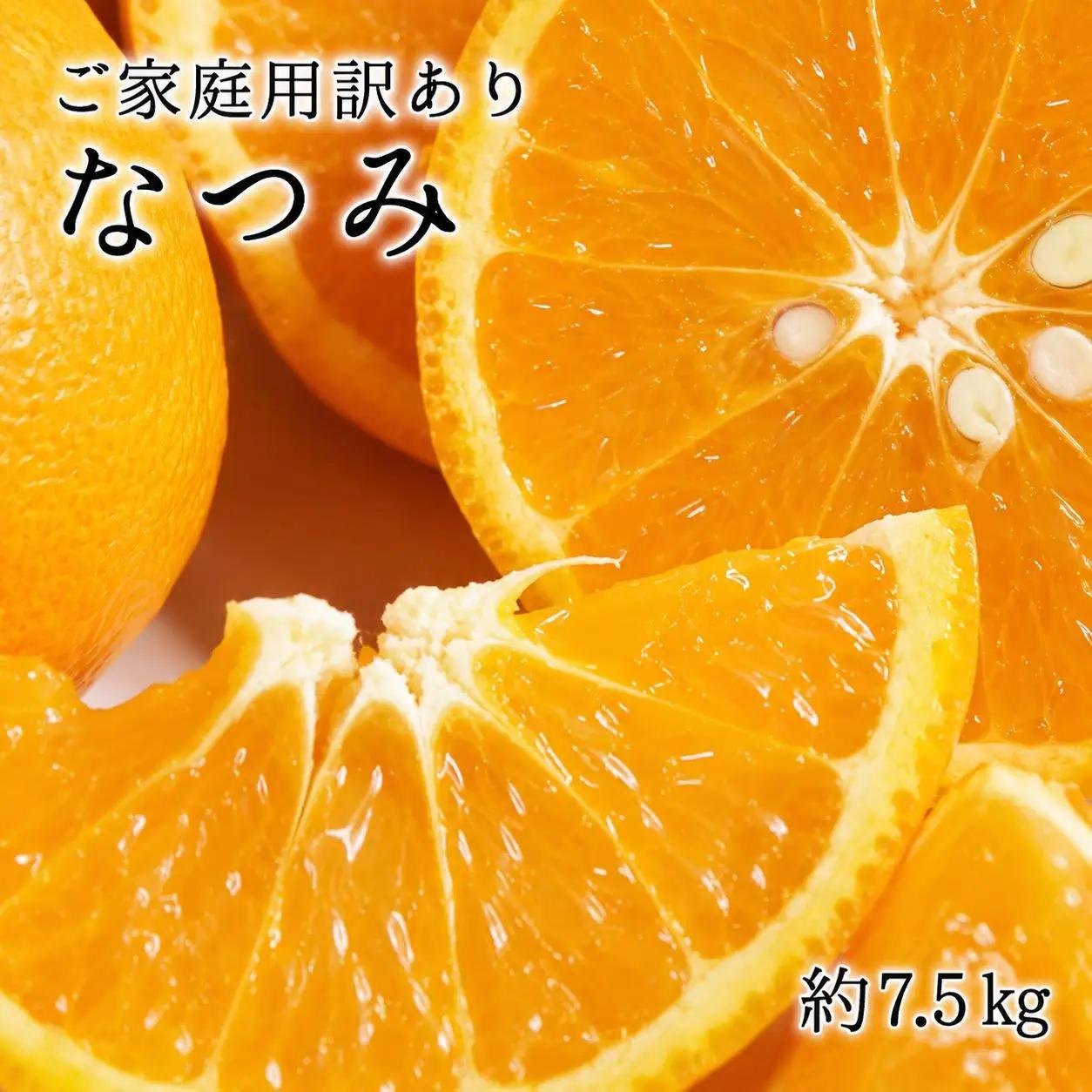 【ご家庭用訳アリ】初夏のみかん なつみ7.5kg　※2027年4月中旬～2027年4月下旬頃に順次発送予定(お届け日指定不可)【uot733B】