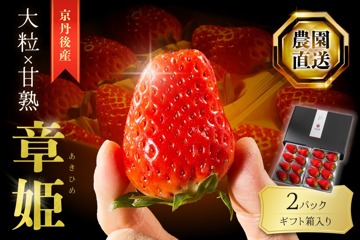 【京丹後産いちご章姫】農園直送便！新鮮大粒いちご 2パック ギフト箱入り／北畿水産　HK00307