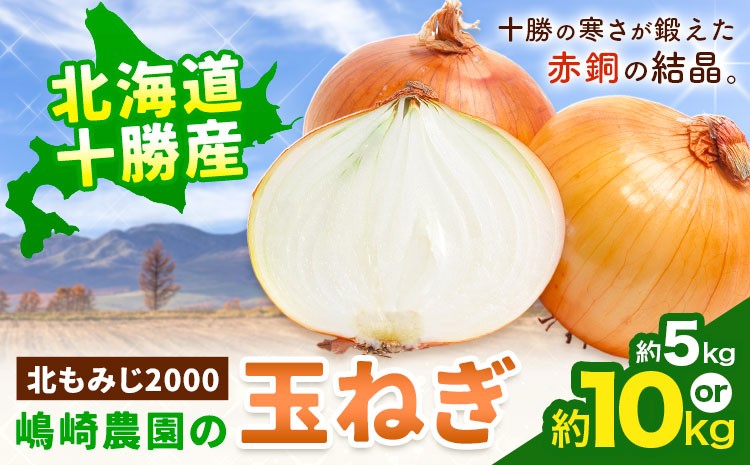 
                  【ふるさと納税】 玉ねぎ たまねぎ 玉葱 選べる 約5kg 約10kg サイズ混合《2026年10月上旬から11月中旬頃出荷》嶋崎農園  送料無料 北海道 本別町 北海道 十勝 本別町産 オニオン カレー サラダ スープ 野菜
                