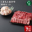 【ふるさと納税】【定期便】【1ヶ月毎7回】くまもとあか牛 焼肉セット 計7kg（1kg×7回） もも焼肉 700g ホルモン 300g 和牛 牛肉 お肉 あか牛 赤身 霜降り BBQ モモ肉 もつ モツ グルメ お取り寄せ 冷凍 熊本県産 国産 熊本県 上天草市 送料無料