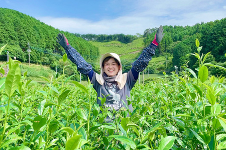 お茶 緑茶 そのぎ茶3種セット 各100g