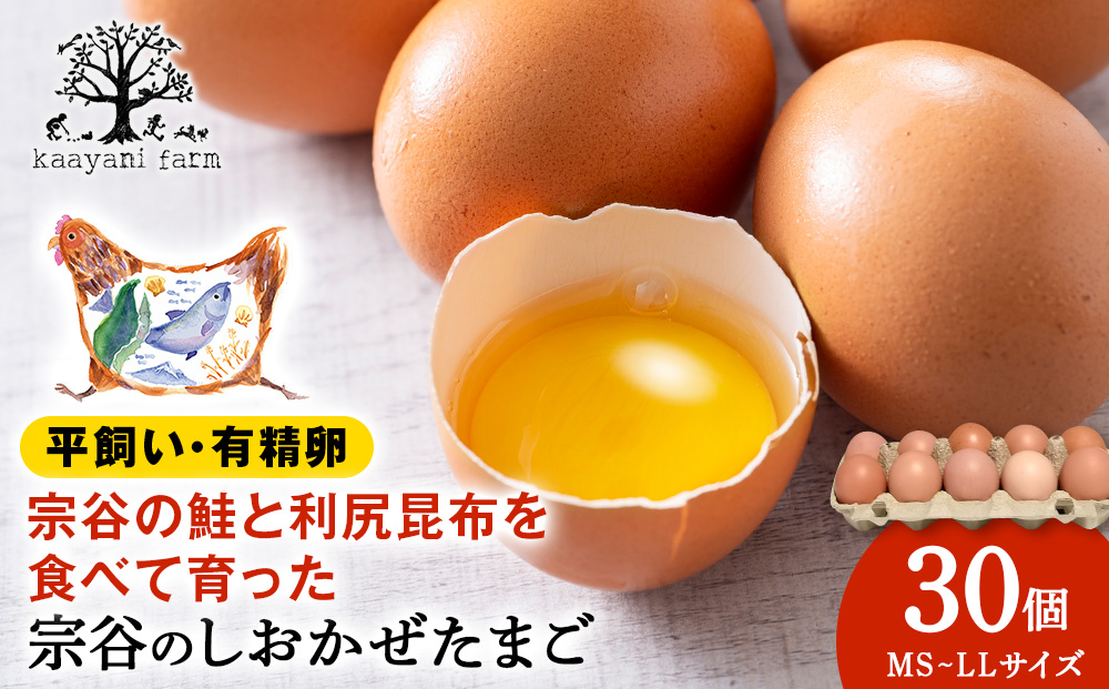 宗谷のしおかぜたまご30個入(10個入×3ケース)