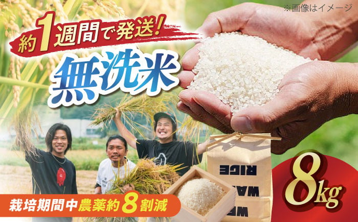 
            【スピード配送】無洗米 コシヒカリ 8kg（2kg×4）滋賀県西浅井町産「まるこ米」 長浜市/ONE SLASH 株式会社[AQCZ024]  米 お米 白米 無洗米 こしひかり 8kg 地域 応援 すぐ すぐ発送 すぐ届く すぐ来る
          