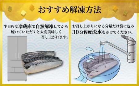 訳あり 塩さば フィーレ 約3kg 冷凍 おかず 惣菜 ｻﾊﾞ 鯖 海鮮 魚 大容量 鯖切身 鯖切り身 さば切身 さば切り身 切り身 切身 魚介 おつまみ 弁当 人気 不揃い 規格外 傷 冷凍食品 グ