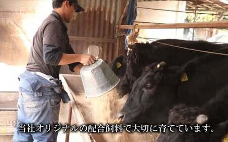 訳アリ 手切りのため サイズ不揃い 大阪産 和牛 なにわ黒牛 肩ロース サイコロ ステーキ （約250g × 2パック）