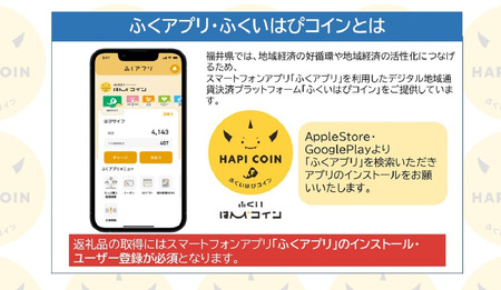 「ふくいはぴコイン」福井市ふるさと納税ポイント【15,000円分】 [E-198004] / 選べる金額 デジタル地域通貨 ホテル 観光 レジャー PAY アプリ オンライン キャッシュレス スマホ 