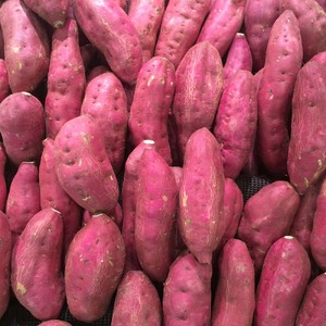  干し芋 ひいとい干し 100g×10袋 総量1kg【R01516】