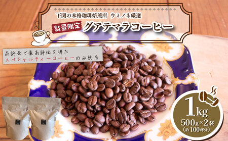 【中煎り】訳ありコーヒー粉800g グアテマラコーヒーコーヒーコーヒーコーヒーコーヒー EW