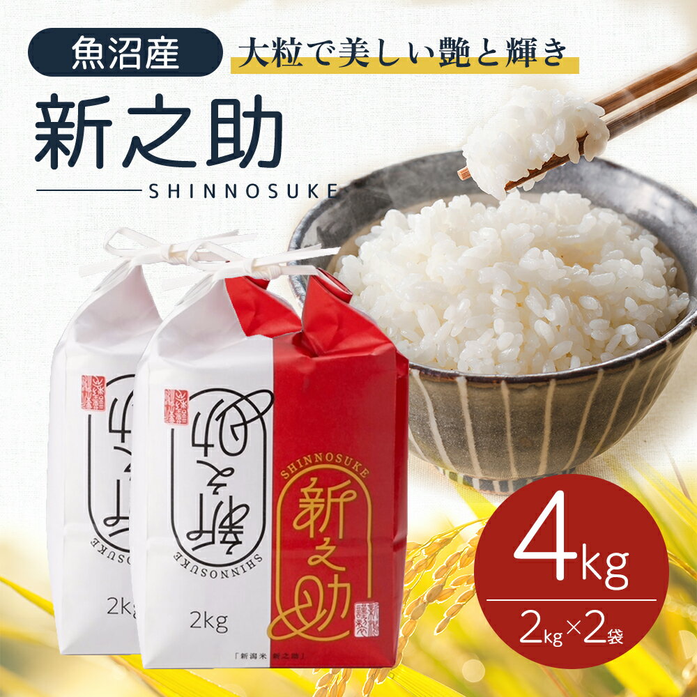 【ふるさと納税】令和6年産 魚沼産 新之助 4kg(2kg×2袋) お米 米 コメ 　お届け：寄附確認後、10月下旬から発送いたします。