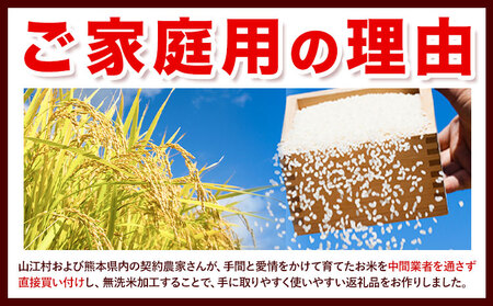 米 無洗米 家庭用 熊本 ふるさと応援 米  10kg《11月-12月より出荷予定(土日祝を除く)》 熊本県産 白米 精米 山江村 ブレンド米 国産 洗わず コロナ おうちご飯 予約 返礼品 発送 配