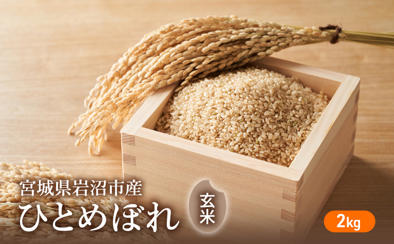 玄米 ひとめぼれ 2kg 米 お米 こめ コメ ブランド米 単一原料米 10キロ 20キロ おこめ ご飯 ごはん ライス 宮城県産ひとめぼれ 東北 宮城県産 宮城米 宮城 宮城県 岩沼市