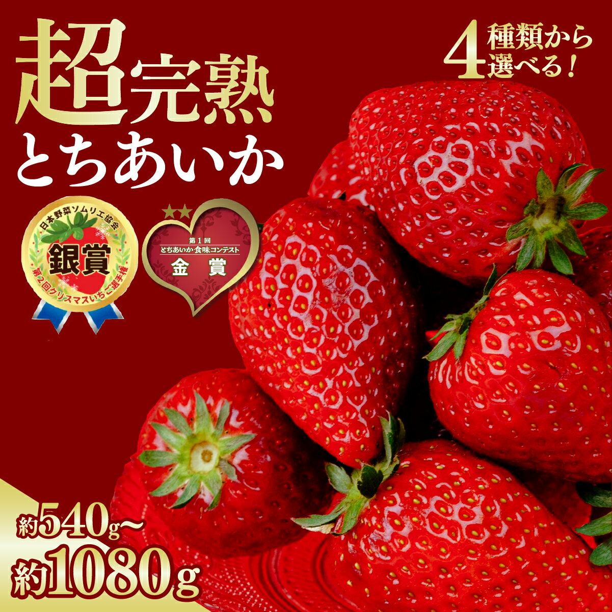 【ふるさと納税】いちご 選手権金賞農園の 完熟＆朝採り とちあいか 540g 1080g 選べる発送月＆内容量 | 定期便 いちご イチゴ 苺 とちあいか 金賞 ブランドいちご 完熟 甘い あまい 果物 フルーツ くだもの 旬 産地直送 栃木県産 鈴木ファーム 栃木県 茂木町