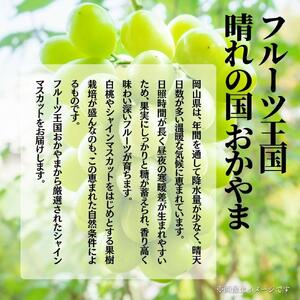 【2026年発送分 先行予約】【梅村ファーム】朝摘み直送 瀬戸ジャイアンツ（2房入り 1.1kg以上）【030-a018】